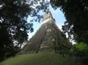 Tikal