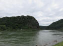 Rhine